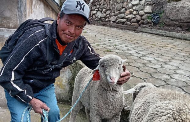 Apoyando el desarrollo productivo de nuestras comunidades
