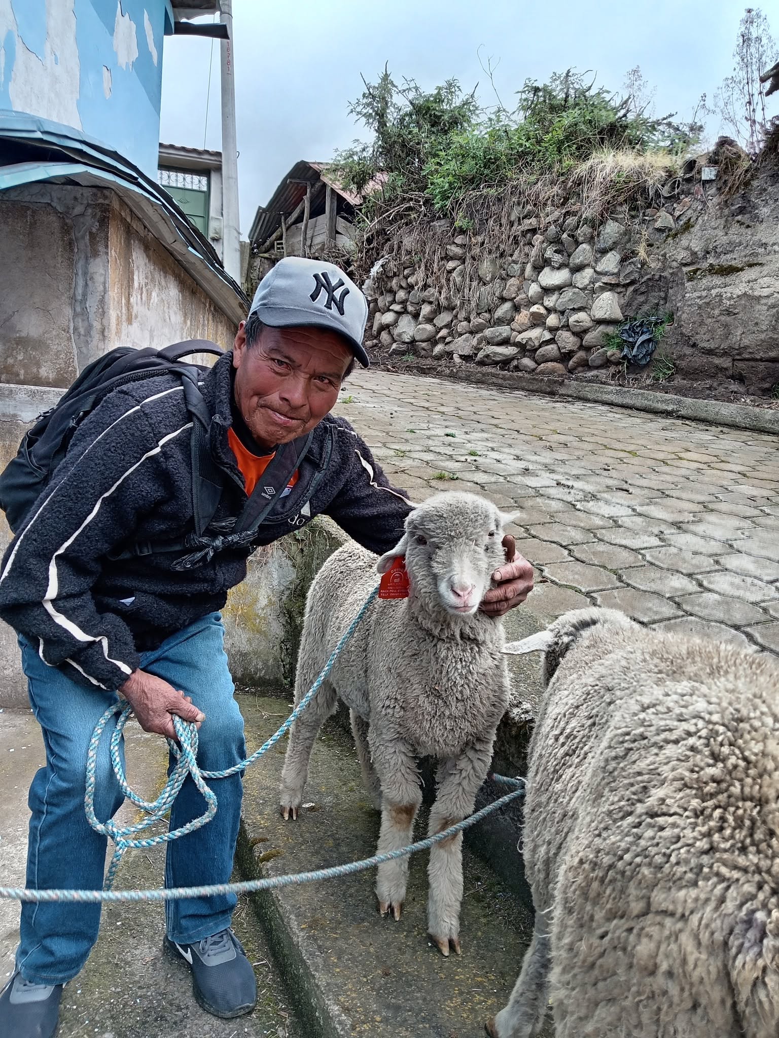 Apoyando el desarrollo productivo de nuestras comunidades